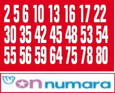 Gabonlu Dina'nın annesinden cinayetin aydınlatılması için çağrı: “Türklerin tüm insanları koruyan kanunları var, adalet yerini bulsun”-13