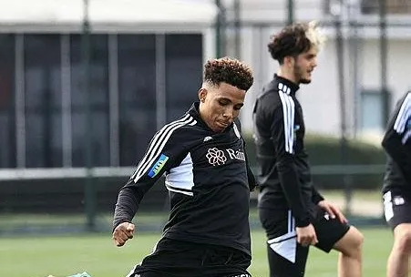 Kartal baskın yapacak