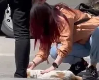 Kırşehir’de yine bir hayvan skandalı: Bir vatandaş kedinin yardımına böyle koştu