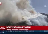 Marmaris'ten sonra Denizli'de de yangın!