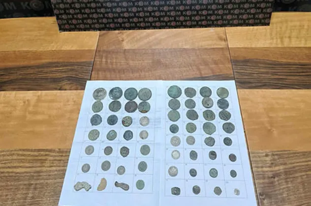 Edirne'de otomobilde 60 sikke ele geçirildi
