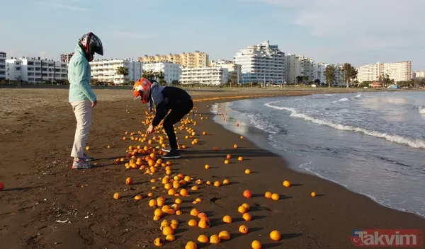 Mersin'de ilginç manzara! Sahile balık değil binlerce portakal vurdu - 6