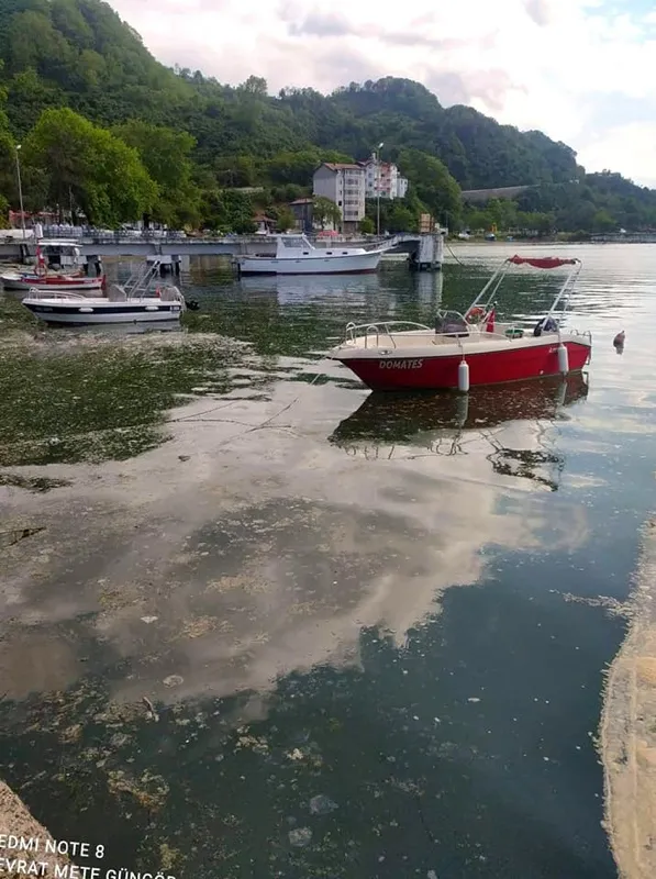 son-dakika-marmara-denizinden-sonra-karadenizde-de-musilaj-deniz-salyasi-goruldu-uzmanlar-uyardi-boyle-giderse-kaplanir-1623048496016.jpg SON DAKİKA: Marmara Denizi'nden sonra Karadeniz'de de müsilaj (deniz salyası) görüldü! Uzmanlar uyardı: Böyle giderse kaplanır-4