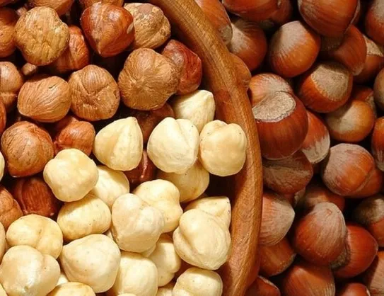 Fındık fiyatları kaç lira? 30 Mart Salı il il fındık fiyatı!