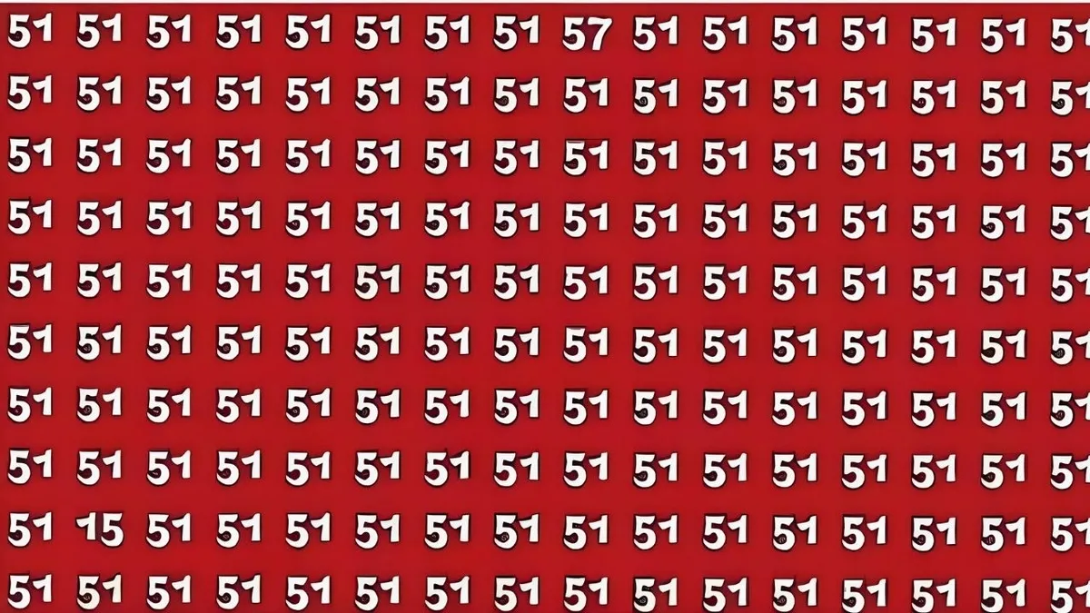 Zeka testi: 51’lerin içindeki 15 ve 57 nerede? 743 kişi denedi, 18’i bulabildi