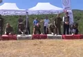 Kenelere karşı mücadele sürüyor: 1 milyona yakın keklik doğaya salındı