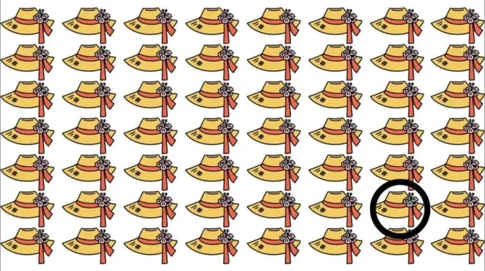 Deneyen 100 kişiden 99'u yapamıyor! Yalnızca IQ'su 130 olanlar görüyor: Resimdeki farklı şapkayı bulan dahi sayılıyor-5