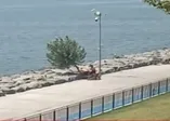 AK Parti Esenler Belediye Başkanı Tevfik Göksu'dan CHP'li İBB'ye ağaç tepkisi: Kendi kendilerine mi ceza yazacaklar