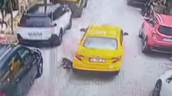kamera-taksicinin-caniligini-kaydetti-eyupsultanda-kopegi-araciyla-ezerek-oldurdu-1623141865831.jpg