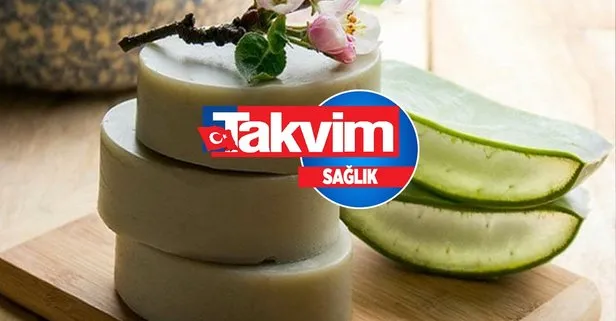 Aloe vera sabunu ne işe yarar, faydaları nelerdir?