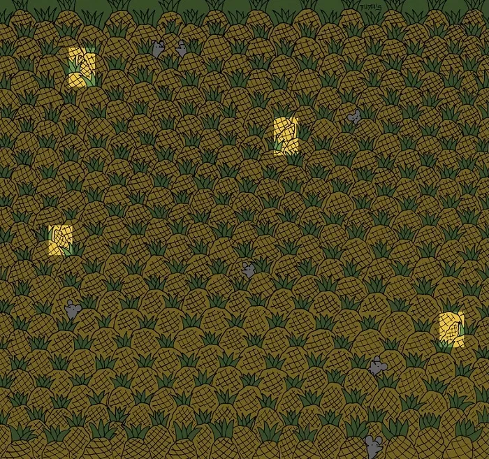 zeka-testi-ananaslarin-icindeki-4-misir-nerede-867-kisiden-33u-15-saniyede-bulabildi-1714124196986.jpg Zeka testi: Ananasların içindeki 4 mısır nerede? 867 kişiden 33'ü 15 saniyede bulabildi-6