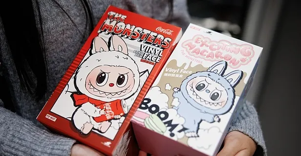 Sabiha Gökçen Havalimanı ve Habur Gümrük Kapısı’nda Labubu operasyonu! 132 peluş oyuncağa el konuldu