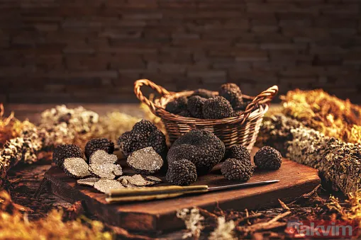 Köpekler buluyor! KİLOSU 72 BİN TL! Siz de toplayıp para kazanabilirsiniz! Türkiye'de 225 kilo bulunuyor! - 6