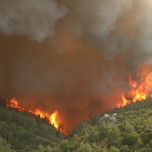İzmir’de yangınla zorlu mücadele