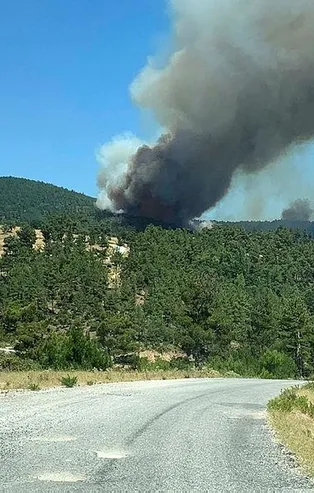 Son dakika: Çanakkale''nin Yenice ilçesinde orman yangını