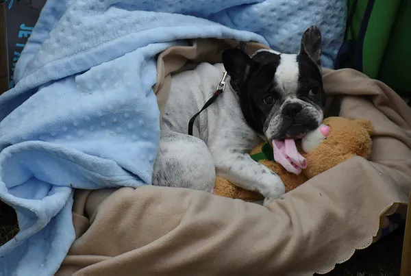 daha-once-iki-kez-evi-yanan-izmirli-depremzede-evimi-altin-kapsalar-yasamam-1604559206826.jpg İzmir’de önce yangın sonra deprem mağduru olan vatandaş: Evimi altın kaplasalar artık girmem - 3