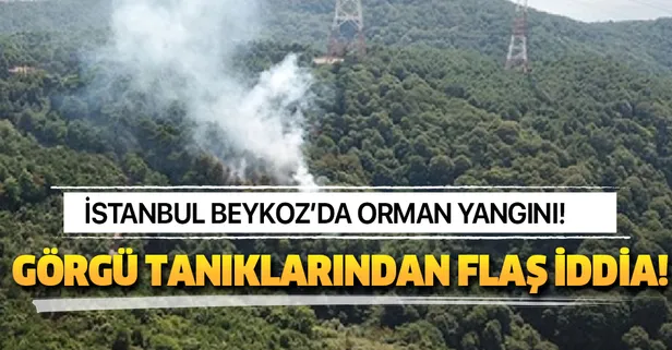 İstanbul Beykoz'da orman yangını!
