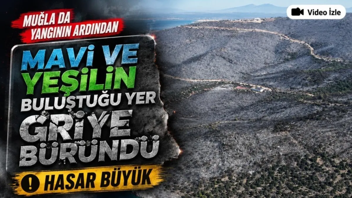 Milas'taki orman yangınında kül olan alanlar görüntülendi