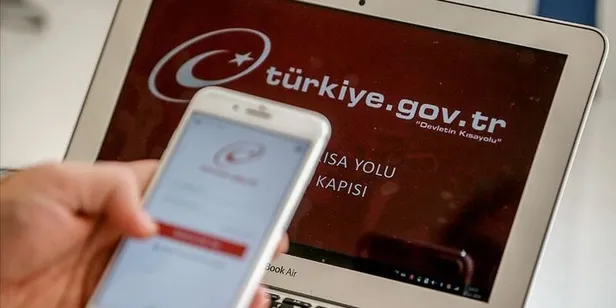 2020'de e-Devlet'ten ehliyet kimlik kartı ve pasaport randevusu için milyonlarca başvuru-2
