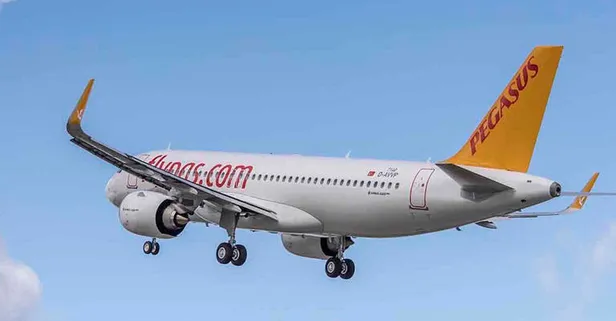 Pegasus en az 20 bin TL maaşla personel alımı yapacak! Kabin Memuru alımları başladı! Lise mezunu, tecrübesiz herkes başvurabilecek