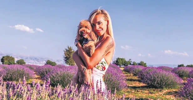 Başı boş sokak köpekleri için Sarıyer Belediyesi'ni göreve çağıran Duygu Bal karşılık alamadı! Bakın ne yaptı