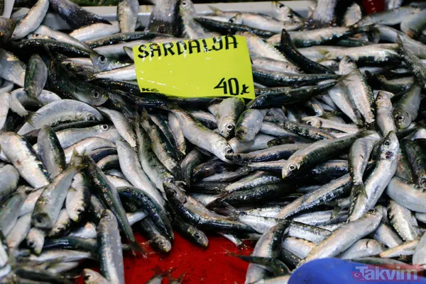 Müsilaj (deniz salyası) ticareti de etkiledi! Balık satışları durdu - 10