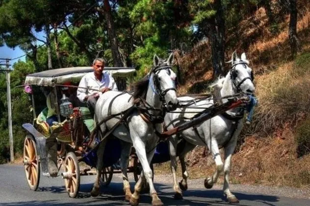 Adalar'da flaş fayton kararı