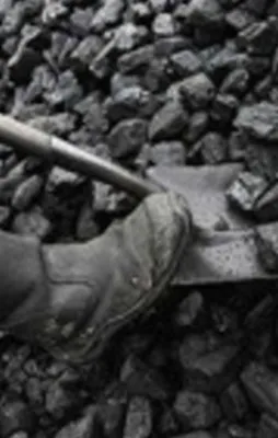 Yerli enerji damgası