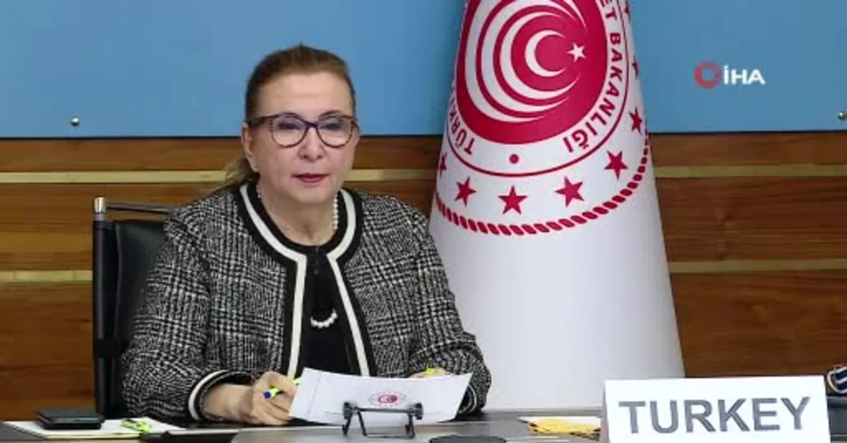 Ticaret Bakanı Rushar Pekcan'dan DTÖ Gayrıresmi Bakanlar Toplantısı'nda önemli açıklamalar