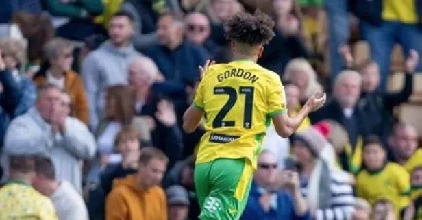 Norwich evinde gol oldu yağdı