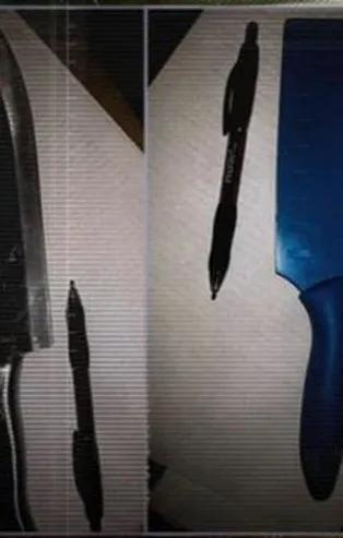 ABD'de satanist çocuklar kan dondurdu!