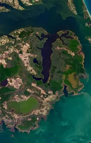 NASA hayalet ormanı uzaydan görüntüledi! Bilim insanları şaşkın