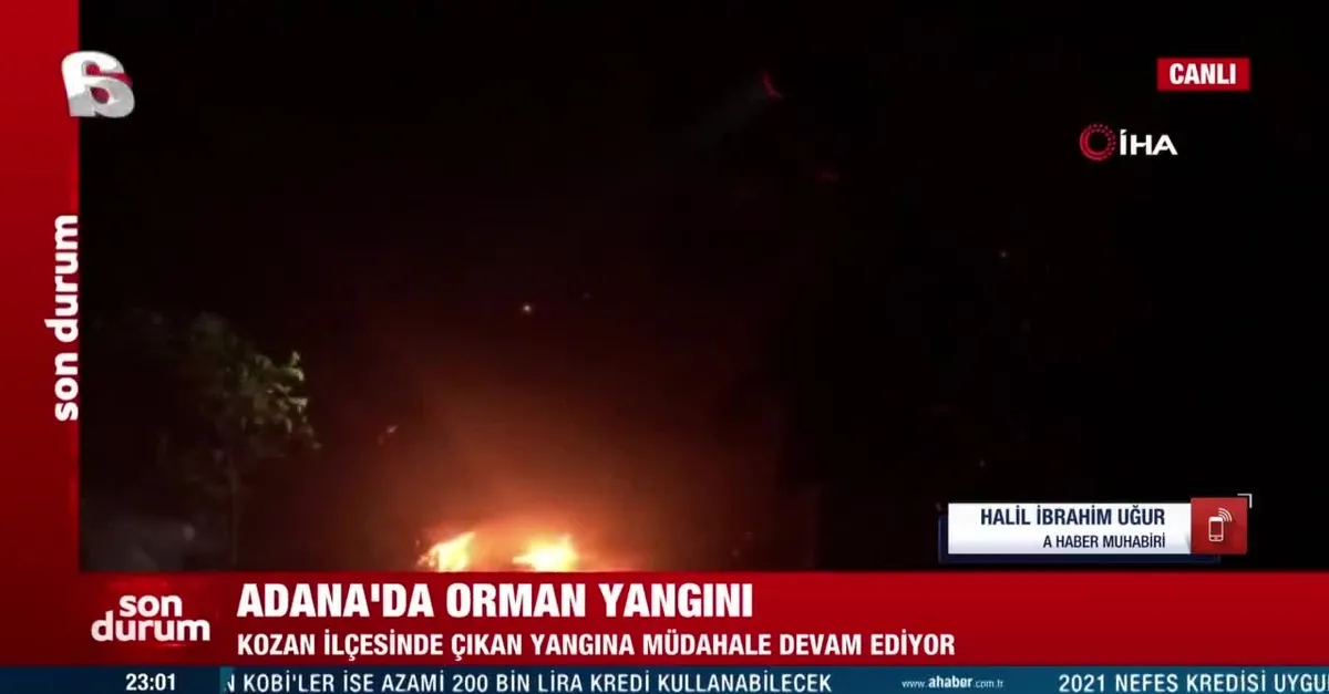 Adana Kozan'da korkutan orman yangını