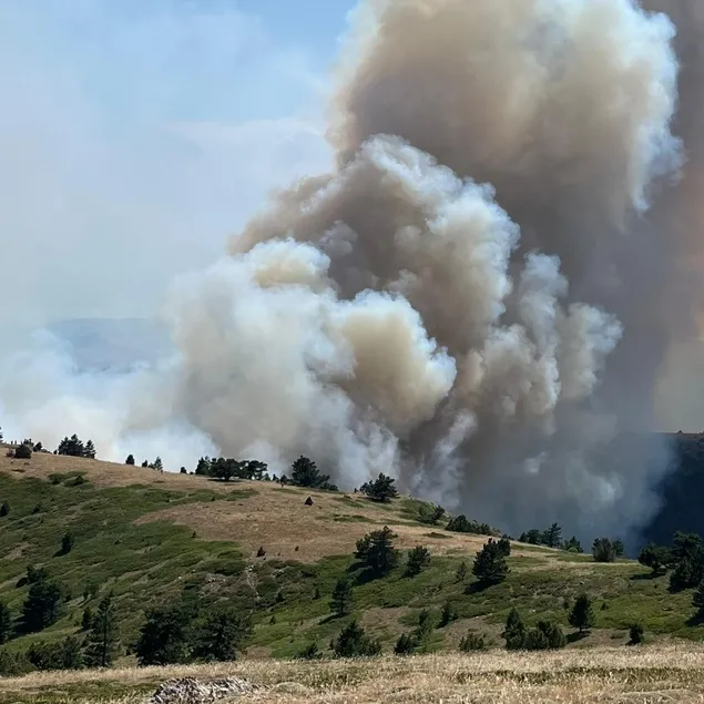 Konya’da ormanlık alanda yangın