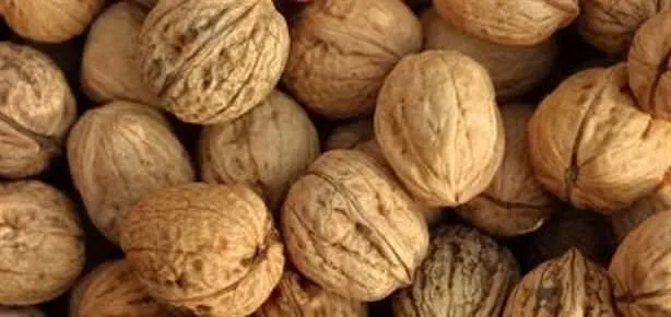 Cevizlerden eroin çıktı