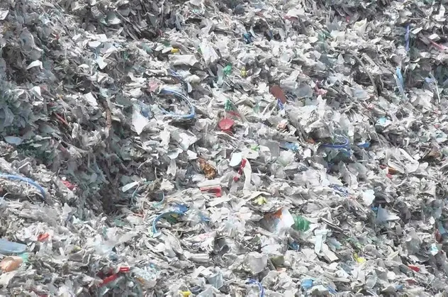 Alibeyköy Barajı çevresinde plastik çöp dağları! İBB haftalardır görmezden geliyor