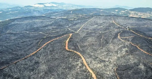 Türkiye, orman yangınlarında 10 günü geride bıraktı: 214 yangının 202’si kontrol altına alındı
