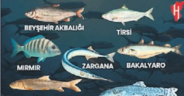 Su ürünlerinde yedi balık türü tescil edildi