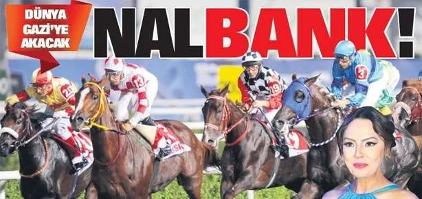 Nalbank