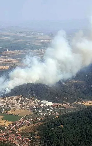 İzmir'de ormanlık alanda yangın