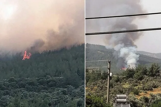 Muğla Milas ve Kütahya Çavdarhisar'da ormanlık alanda yangın!
