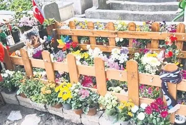 Ahmet’i rahat bırakın