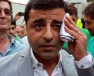 Terör destekçisi HDP’nin taşınır mallarına el konulacak!