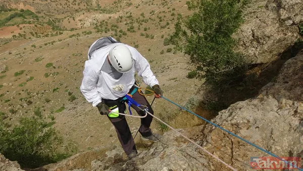 Babasından öğrendi! 150 metre yükseklikteki kayalardan topladığı balı 1000 TL'ye satıyor - 7