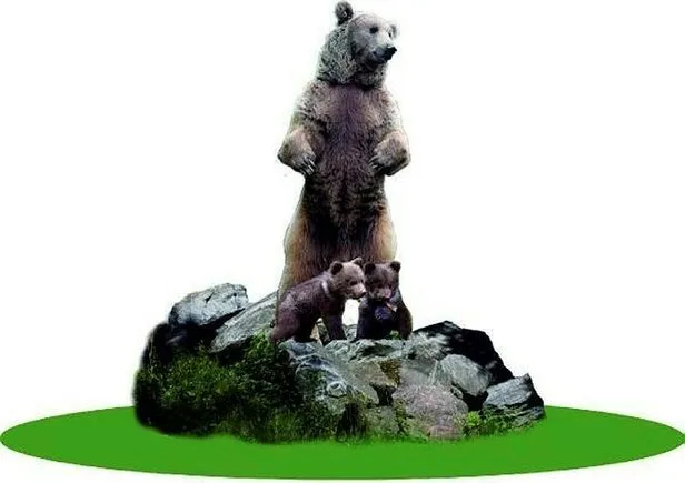 CHP'li Bolu Belediyesi'nden 10 metrelik bozayı heykeli! - Takvim