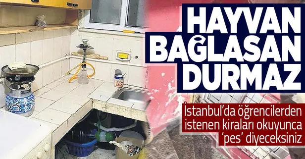 İstanbul'da öğrencilere kira işkenceye dönüştü! 'Hayvan bağlasan durmaz' denilen evlere 6 bin 500 TL kira isteniyor