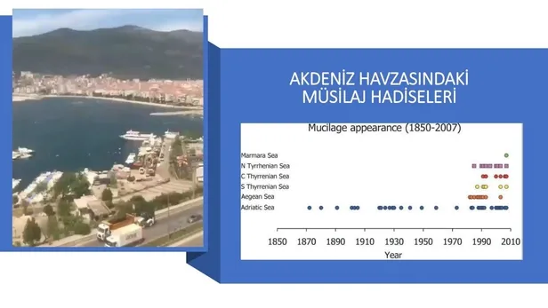 'Deniz salyası' gerçekleri: 'Temel atmama' değil yüzlerce 'temel atma' ister!-11