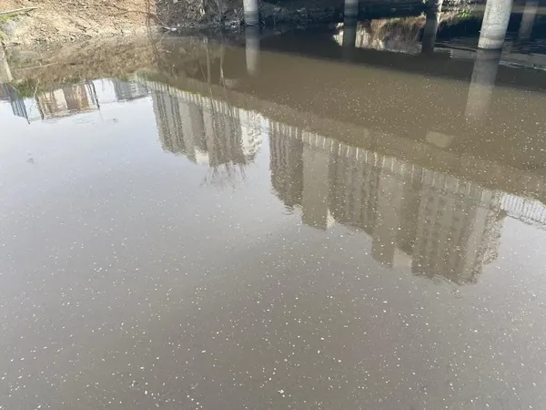 Bakırköy Ayamama Deresi'nde durum içler acısı! CHP'li İBB Ayamama Deresi'ni kaderine terk etti! Çevre kirliliği, koku, sinek…-2