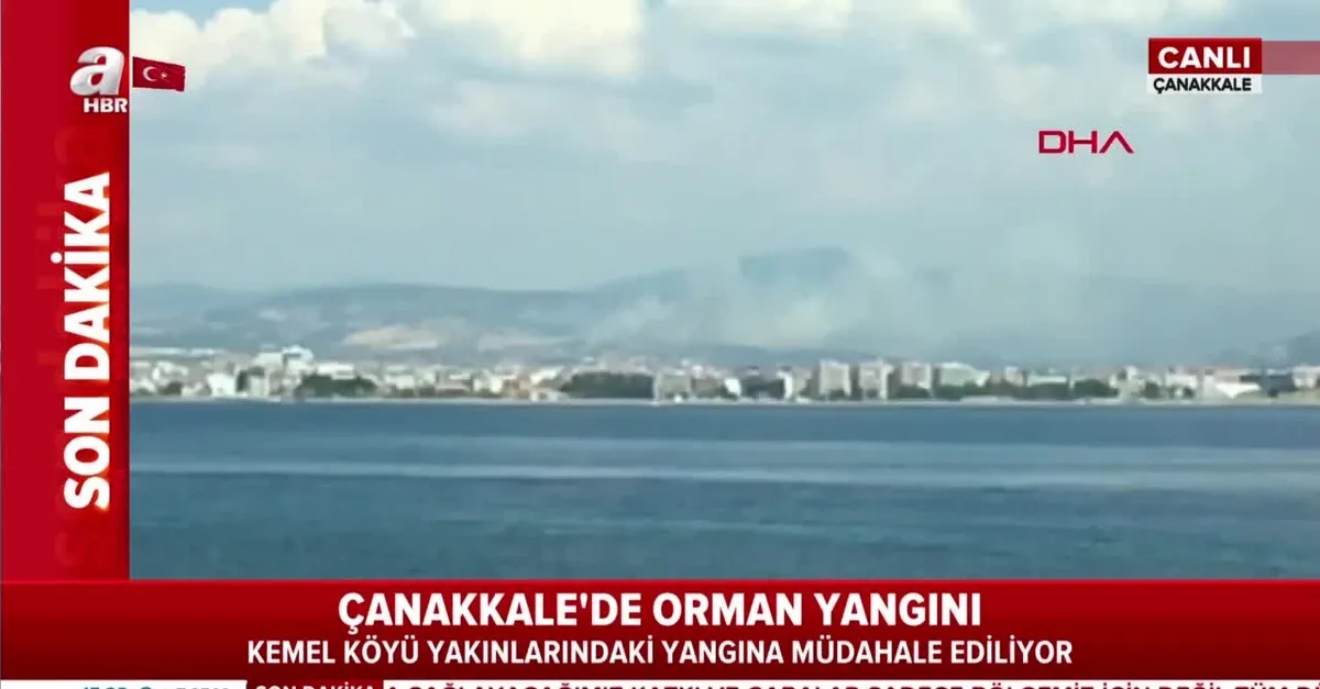 Son dakika: Çanakkale'de orman yangını!