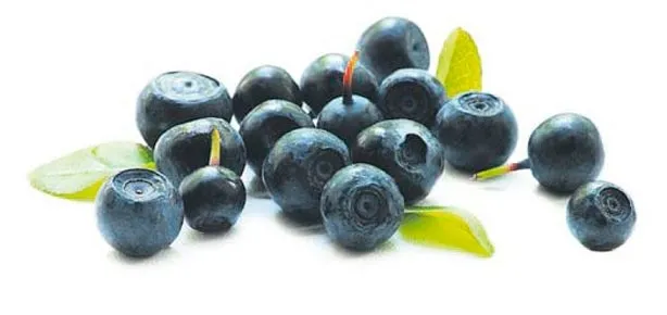 Aşkı yabana atmayın